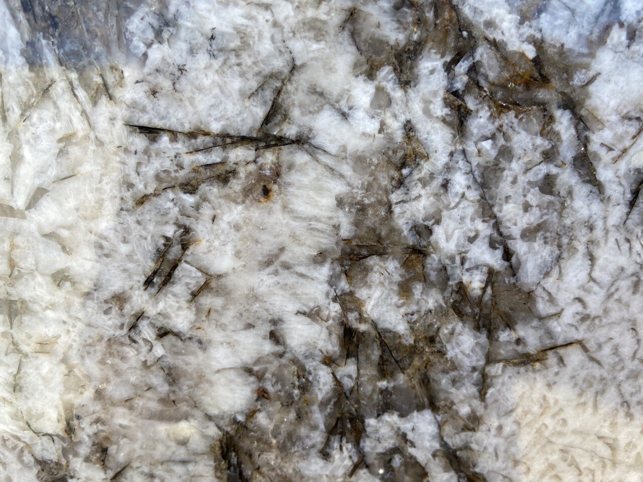 Bianco Antico