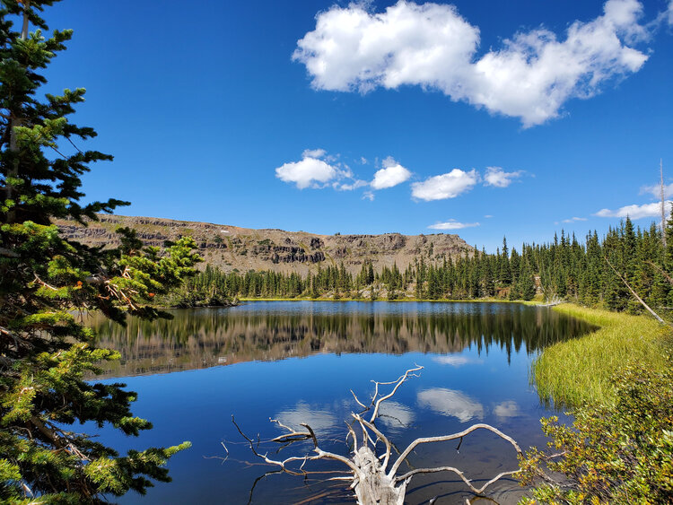 Buck Lake Joe Dixon
