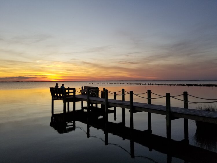 CurrituckSound Duck North Carolina