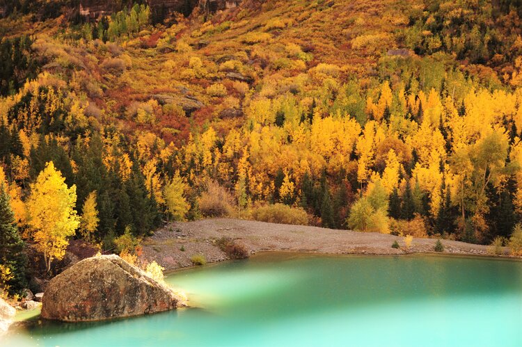 Fall Colors
