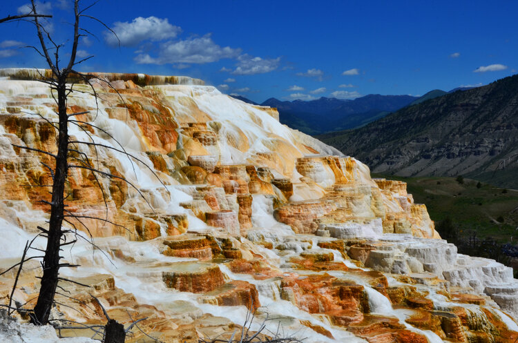 Mammoth Hot Springs Yellowstone