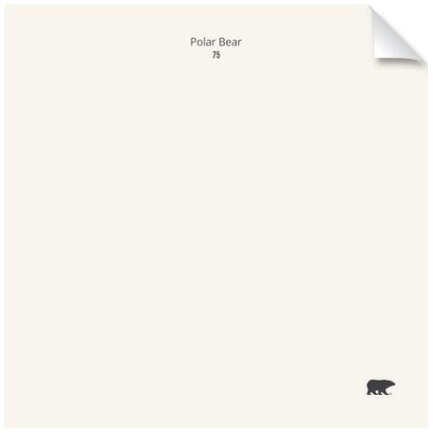 Polar Bear