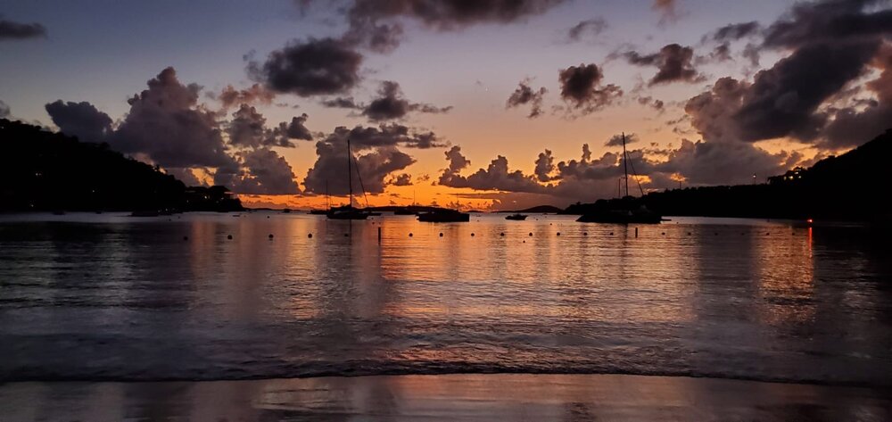 St John Nights Stacie Pine