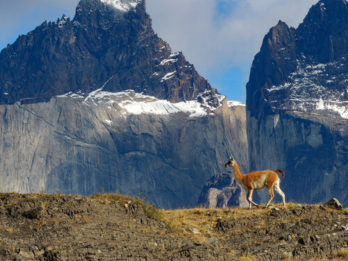 Torresdel Paine Patagonia Pat