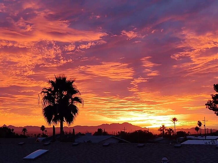 Tuscon AZ Christy Strong