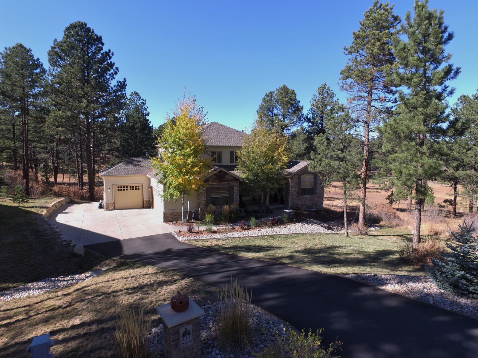 Larkspur, CO home surrounded by ponderosa pines